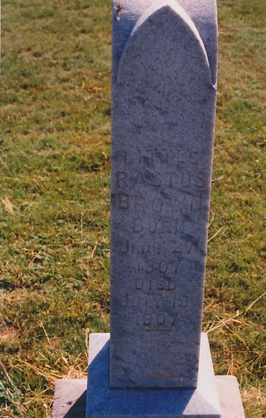 Little Rastus Brown
Born Jun 27, 1907
Died July 19, 1907
Section B, Lot 51 Brown_Little_Rastus.jpg