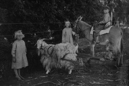 THE H. W. SORRENSON CHILDREN Left to right: Doris (Mrs. Julius Hansen); Effie (Mrs. A. D. Parker); Ernest; and Grace (Mrs. Elbert Sweatt)
H. W. and Bertha Sorrenson came by immigrant train from Iowa to Swisher County. Bertha helped in the fields, served as a midwife or as a veterinarian when an animal was sick. Threshing crews said it was worth working for the Sorrensons just to get the meals she cooked.
Harry bought a donkey and built a two-wheel cart to convey the children to school. He made toys of all kinds for his children: a pedal operated car, a little wagon, a doll cradle, a litle cupboard, and table and chairs. He also made a wonderful hobby horse from a solid block of wood, with raveled rope for the mane and tail and a leather saddle and bridle.
Harry was a trustee for the Houston School as long as he had children attending there. He was active in getting the first telephones in the community. Both belonged to the Methodist Church in Tulia, and their daughter Grace Sweatt is still a member. Sorrenson1.jpg