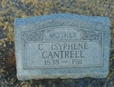 C Isyphene CANTRELL