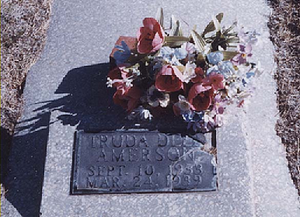 TRUDA DELL
AMERSON
SEP 10, 1933
MAR 24, 1939
AMERSON_Truda Dell.jpg