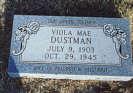Viola