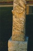 IMG 0258